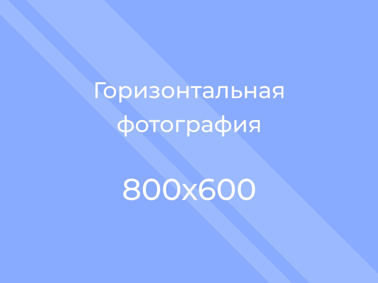 Сведения об организации лагеря труда и отдыха.